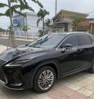 Xe Lexus RX 300 2020