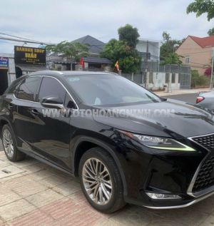 Xe Lexus RX 300 2020