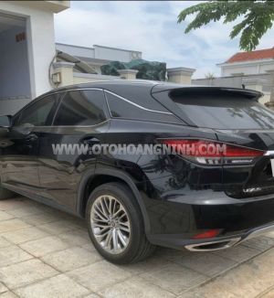 Xe Lexus RX 300 2020