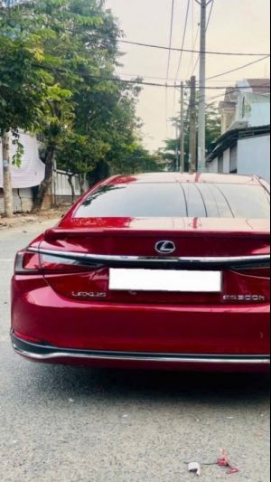 Xe Lexus ES 300h 2021