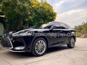 Xe Lexus RX 300 2020