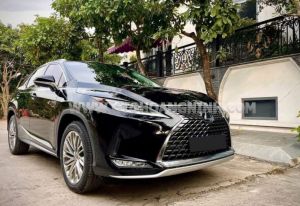 Xe Lexus RX 300 2020