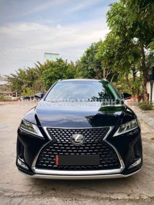 Xe Lexus RX 300 2020