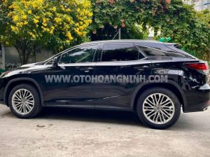 Xe Lexus RX 300 2020