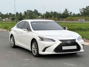 Xe Lexus ES 250 2020