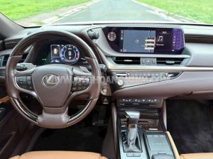 Xe Lexus ES 250 2020