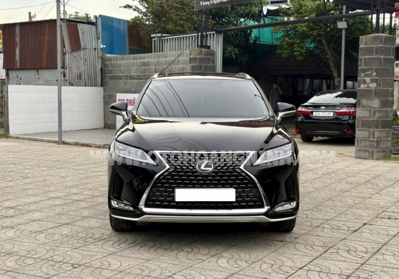 Lexus RX 300 2021