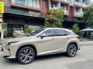 Xe Lexus RX 300 2018