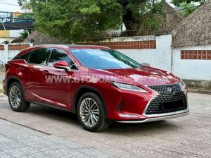 Xe Lexus RX 350 2019