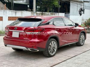 Xe Lexus RX 350 2019
