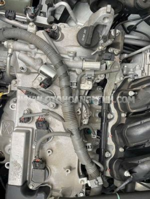 Xe Toyota Sienna LE 3.5 2015