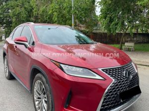 Xe Lexus RX 350 2019