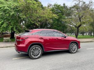 Xe Lexus RX 350 2019