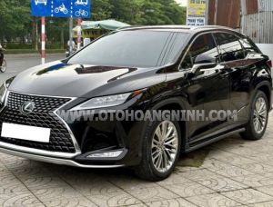 Xe Lexus RX 300 2021