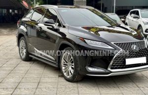 Xe Lexus RX 300 2021