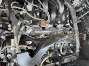 Xe Lexus RX 350 2015