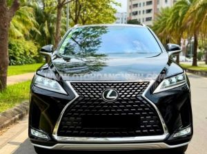 Xe Lexus RX 300 2021