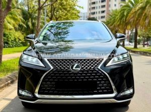 Xe Lexus RX 300 2021