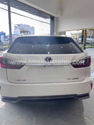 Xe Lexus RX 450h 2018
