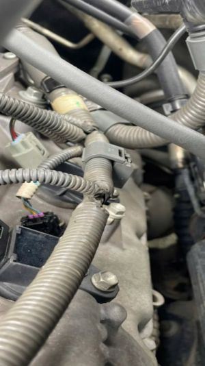 Xe Toyota Land Cruiser 4.6 V8 2020