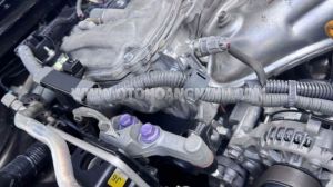 Xe Toyota Camry 2.5Q 2021