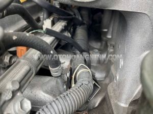 Xe Toyota Land Cruiser GX 4.5 2007