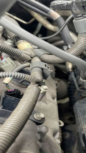 Xe Toyota Land Cruiser 4.6 V8 2020