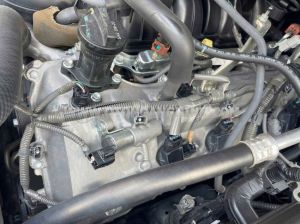 Xe Toyota Land Cruiser 5.7 V8 2016