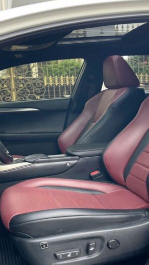 Xe Lexus NX 200t F-Sport 2015
