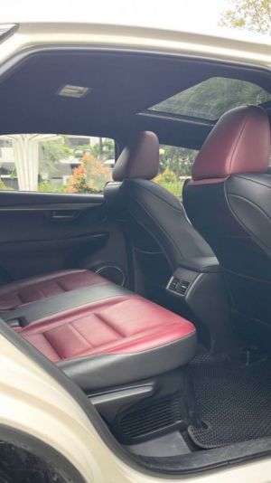 Xe Lexus NX 200t F-Sport 2015