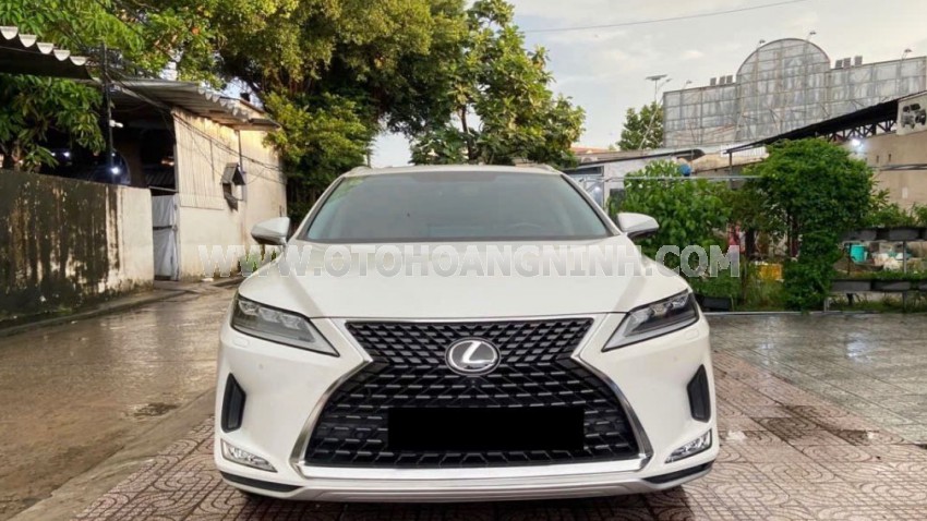 RX 300 2021