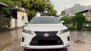 Xe Lexus RX 300 2021